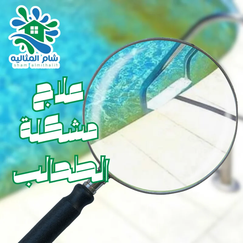 مشكلة الطحالب في المسبح