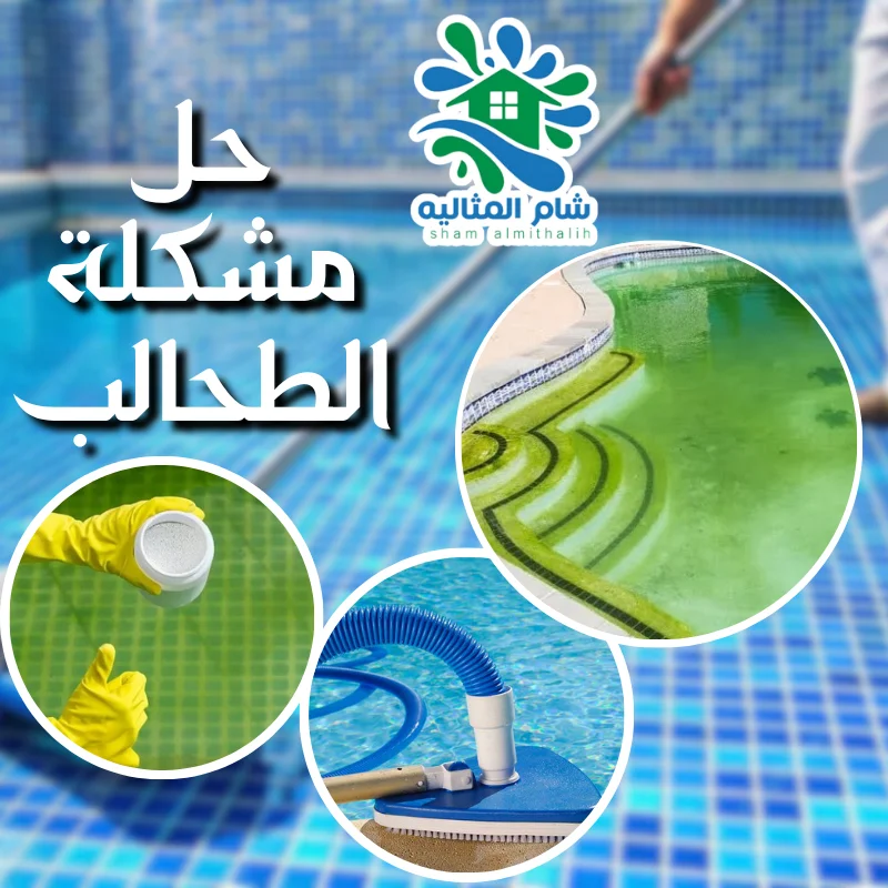 مشكلة الطحالب في المسبح